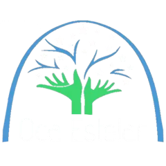 Instituto Oca Estelar